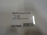 Selfy - emergency sign selfest - noodverlichtingsarmatuur (2x) - afbeelding 3 van  3