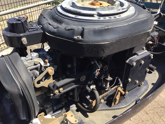 Selva 60 buitenboordmotor - afbeelding 4 van  5