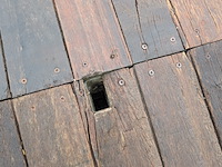 Semi-dieplader, veldhuizen, p32-3a, 2003 - afbeelding 22 van  58