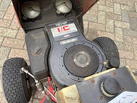 Sentinel - 13/39 - zitmaaier - afbeelding 6 van  7