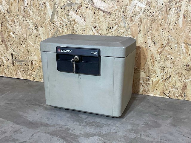 Sentry kluis - afbeelding 1 van  6