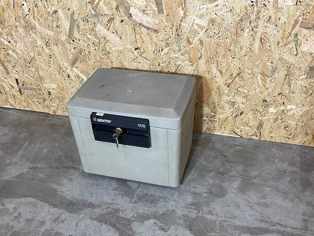 Sentry kluis - afbeelding 4 van  6