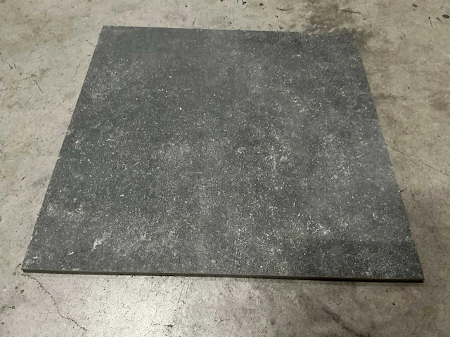 Seranit - 60 x 60 cm - vloertegel 11,52 m2 - afbeelding 3 van  4