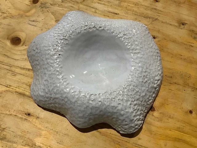 Serveerschaal (11x) - afbeelding 2 van  3