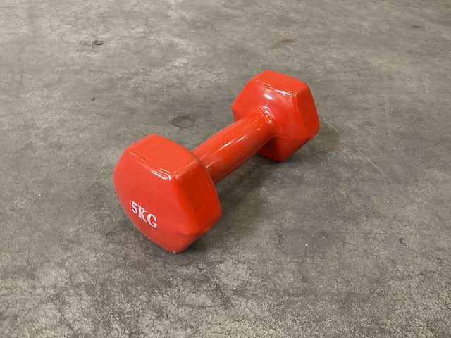 Set á 4 stuks 5kg dumbells - afbeelding 1 van  2