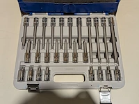 Set schroevendraaierdoppen, expert, 1/2" 26-delig - afbeelding 3 van  4