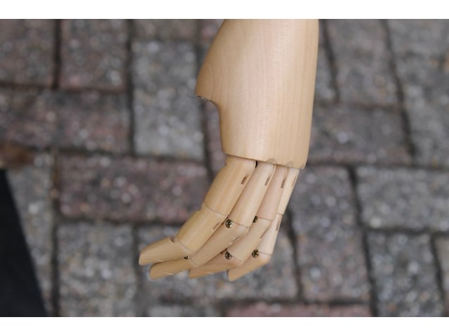 Set van mannelijke en een vrouwelijke paspop - afbeelding 3 van  5