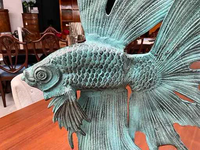 Sfd siamese kempfish - afbeelding 4 van  4