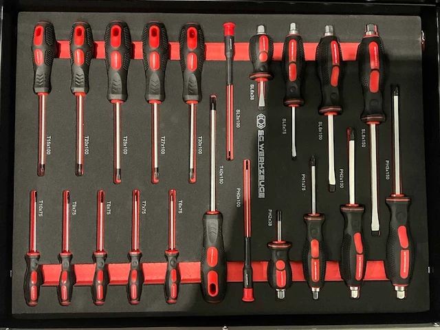 Sg werkzeuge - sg10-25l - 2026 - 258 stuks - gereedschapswagen - afbeelding 4 van  23