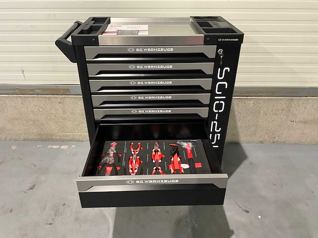 Sg werkzeuge - sg10-25l - 2026 - 258 stuks - gereedschapswagen - afbeelding 11 van  17