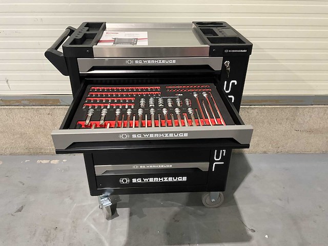 Sg werkzeuge - sg10-25l - 2026 - 258 stuks - gereedschapswagen - afbeelding 15 van  16