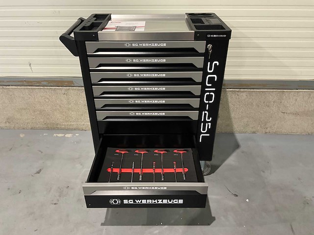 Sg werkzeuge - sg10-25l - 2026 - 258 stuks - gereedschapswagen - afbeelding 9 van  23