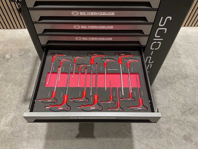 Sg werkzeuge 7/7 laden 258 pieces sg10-25l gereedschapswagen - afbeelding 10 van  63