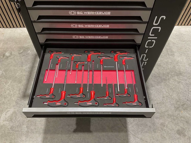 Sg werkzeuge 7/7 laden 258 pieces sg10-25l gereedschapswagen - afbeelding 11 van  66