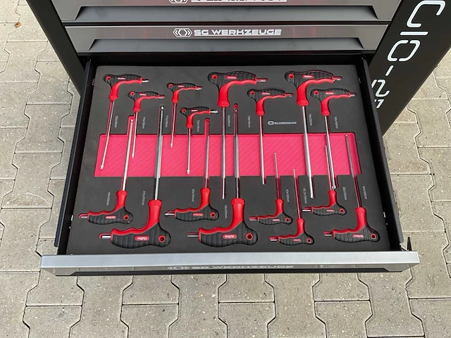 Sg werkzeuge 7/7 laden 258 pieces sg10-25l gereedschapswagen - afbeelding 9 van  24