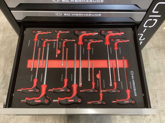 Sg werkzeuge sg10-25l - 7 laden 7 gevuld - afbeelding 6 van  9