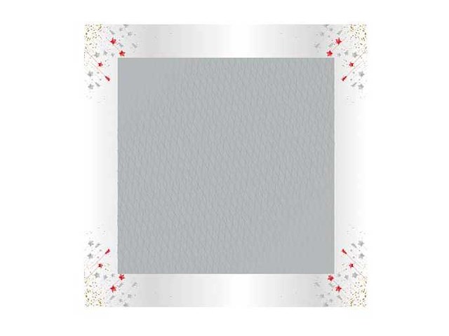 Sh zilver 60x60 (6400x) - afbeelding 1 van  1