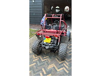 Shark buggy personenauto - afbeelding 1 van  5