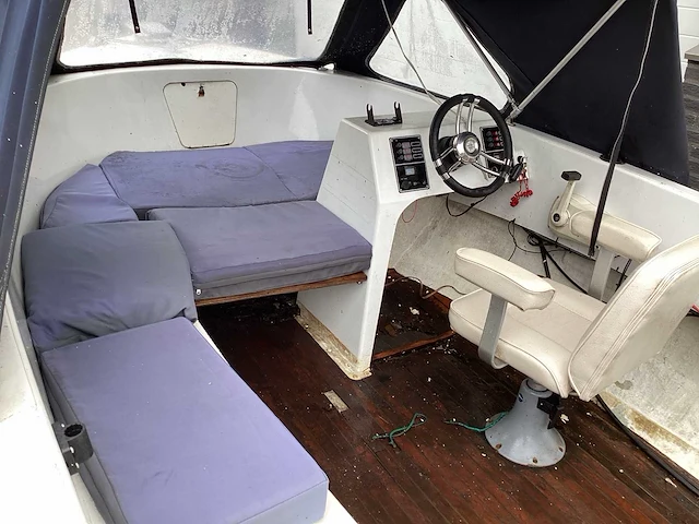 Shetland shetland alaska 5m - afbeelding 6 van  12