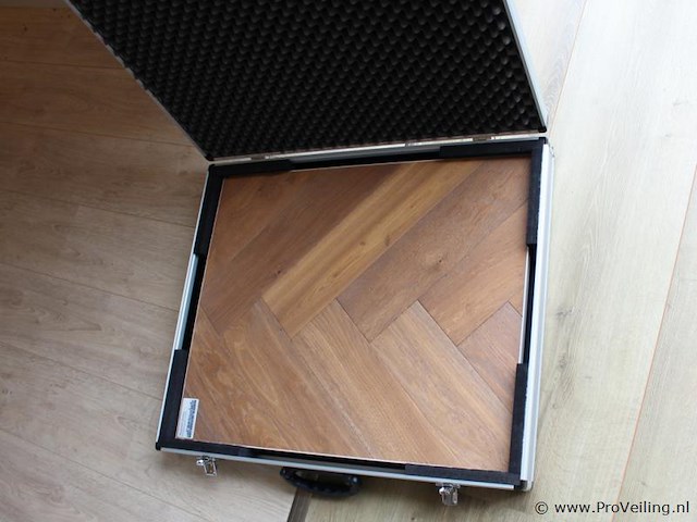 Showkoffer met vloermonster - afbeelding 1 van  3
