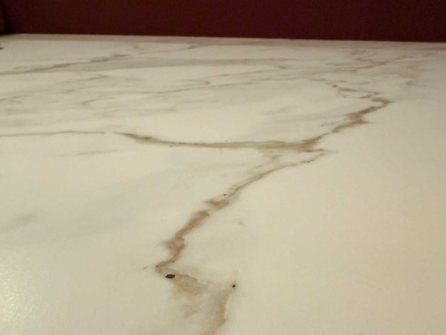 Showroomkeuken met apparatuur - afbeelding 17 van  24