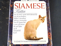 Siamese katten