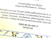 Siamese katten - afbeelding 3 van  5