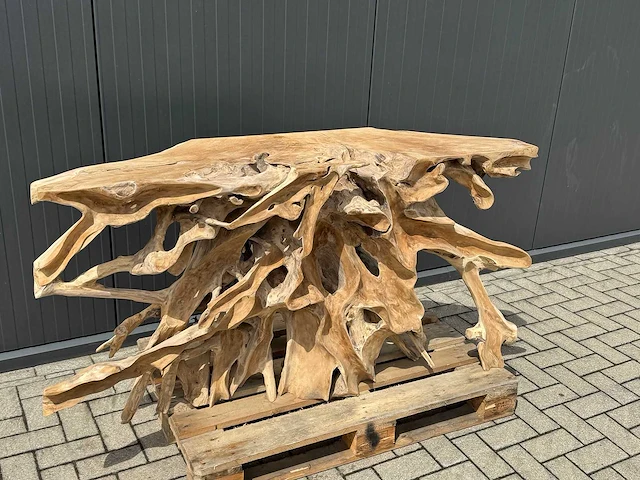 Side-table wortelhout 160cm. - afbeelding 2 van  3