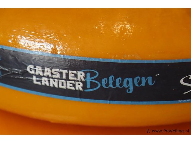 Siebren gaasterlander dummy kaas - 2 stuks - afbeelding 2 van  5