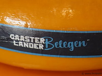 Siebren gaasterlander dummy kaas - 2 stuks - afbeelding 2 van  5