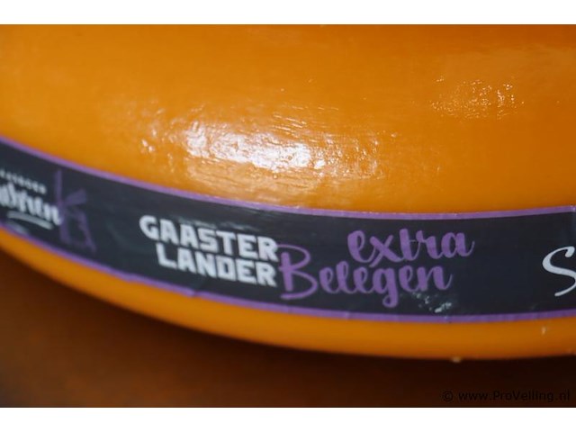 Siebren gaasterlander dummy kaas - 2 stuks - afbeelding 3 van  5