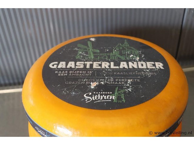 Siebren gaasterlander dummy kaas - 2 stuks - afbeelding 4 van  5