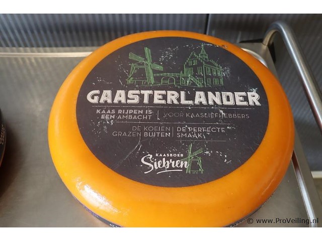 Siebren gaasterlander dummy kaas - 2 stuks - afbeelding 5 van  5