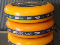 Siebren gaasterlander dummy kaas - 3 stuks - afbeelding 1 van  7