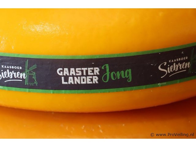 Siebren gaasterlander dummy kaas - 3 stuks - afbeelding 2 van  7