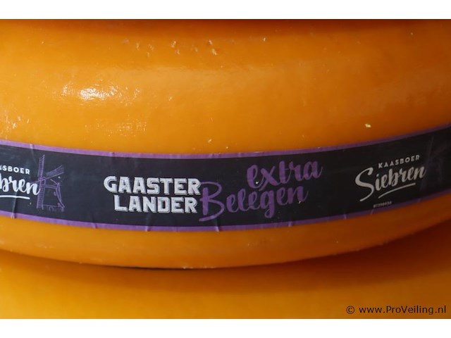 Siebren gaasterlander dummy kaas - 3 stuks - afbeelding 3 van  7