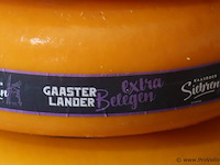 Siebren gaasterlander dummy kaas - 3 stuks - afbeelding 3 van  7