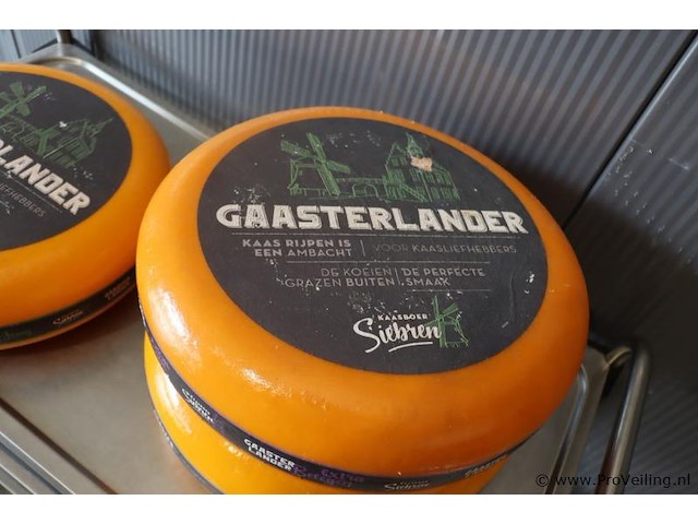 Siebren gaasterlander dummy kaas - 3 stuks - afbeelding 6 van  7