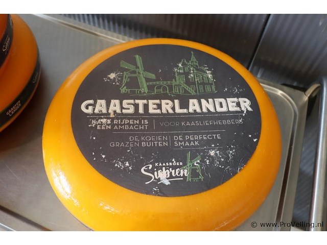 Siebren gaasterlander dummy kaas - 3 stuks - afbeelding 7 van  7