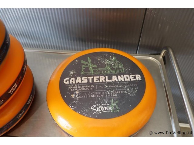 Siebren gaasterlander dummy kaas - 5 stuks - afbeelding 3 van  11