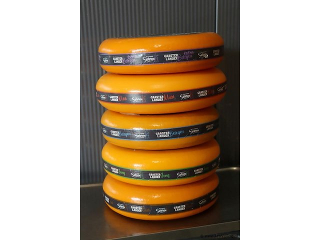 Siebren gaasterlander dummy kaas - 5 stuks - afbeelding 1 van  11