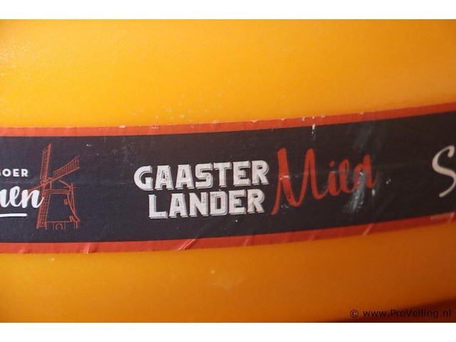 Siebren gaasterlander dummy kaas - 5 stuks - afbeelding 5 van  11