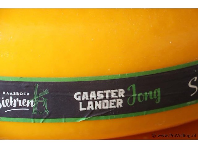 Siebren gaasterlander dummy kaas - 5 stuks - afbeelding 7 van  11