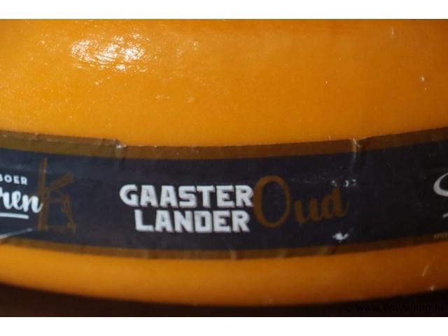 Siebren gaasterlander dummy kaas - 5 stuks - afbeelding 8 van  11