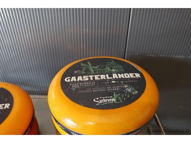 Siebren gaasterlander dummy kaas - 5 stuks - afbeelding 11 van  11