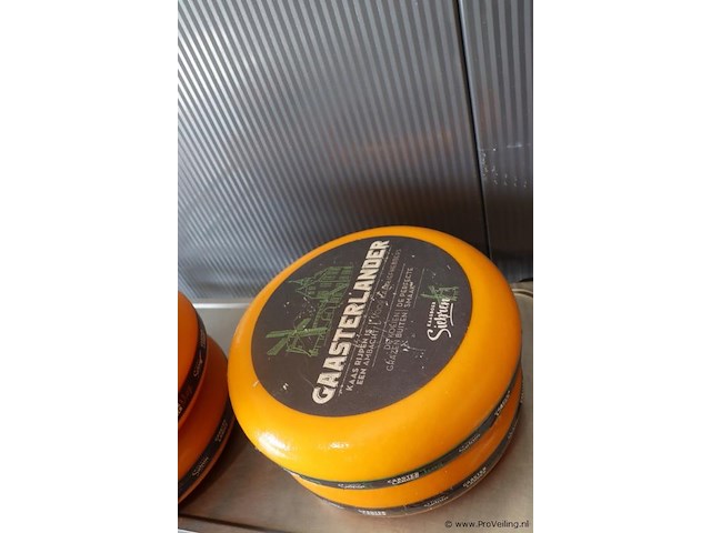 Siebren gaasterlander dummy kaas - 5 stuks - afbeelding 2 van  11
