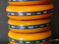 Siebren gaasterlander dummy kaas - 5 stuks - afbeelding 1 van  11