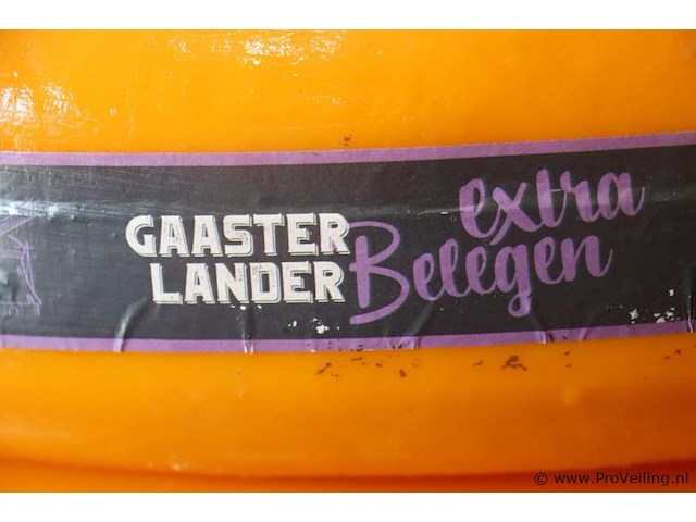 Siebren gaasterlander dummy kaas - 5 stuks - afbeelding 4 van  11