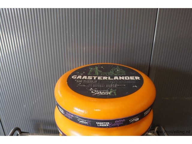 Siebren gaasterlander dummy kaas - 5 stuks - afbeelding 9 van  11