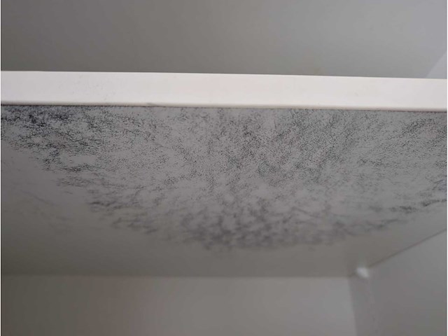 Siematic - keuken met miele/siemens apparatuur - afbeelding 18 van  41